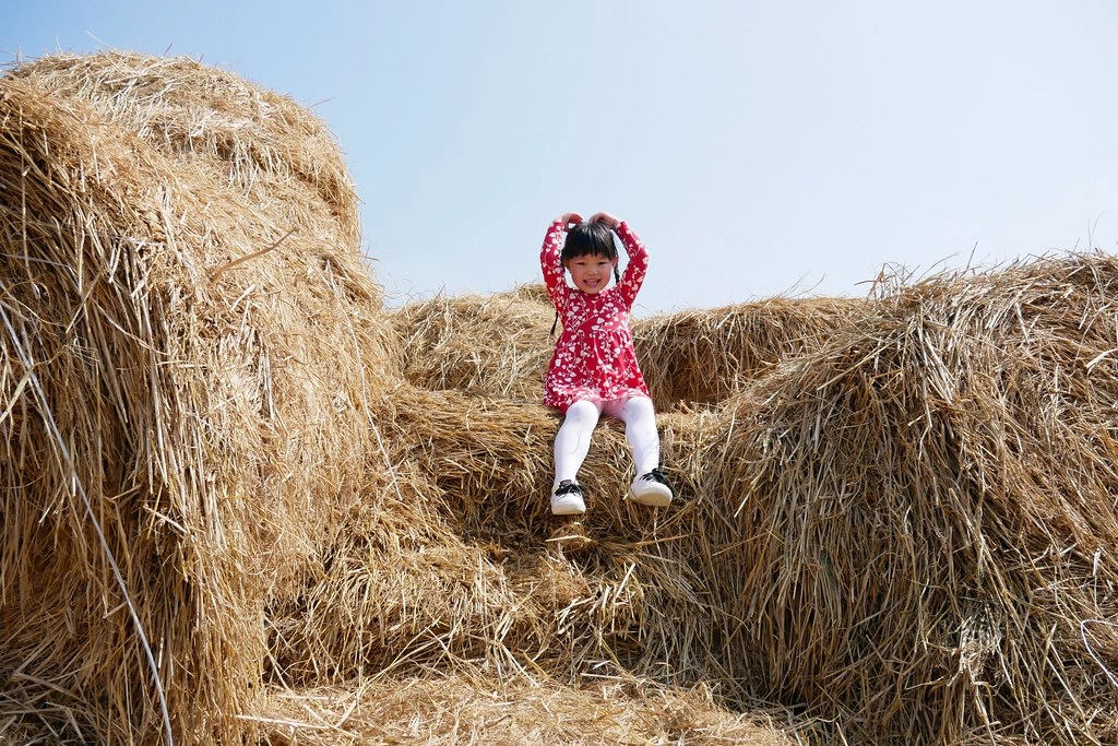 稻草捲心酥：草地上巨型咖啡捲心酥，IG打卡熱門景點，嘉義新港就有哦！ @飛天璇的口袋