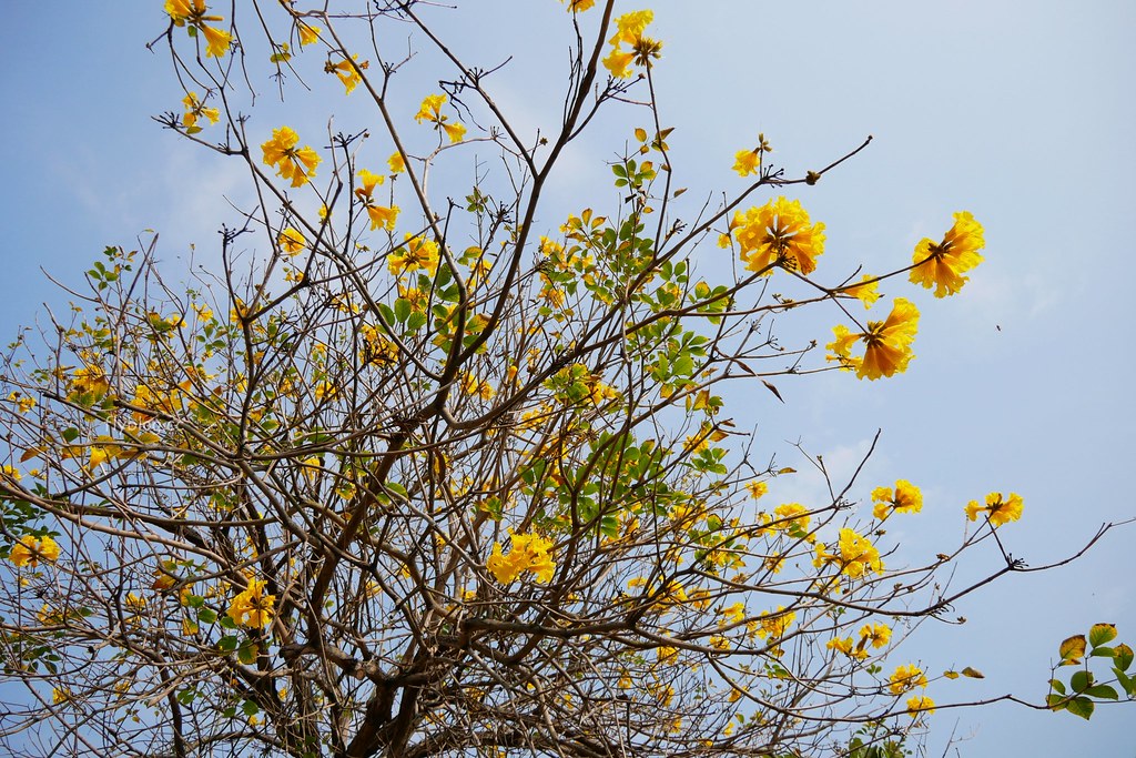 大坑情人橋全家便利商店┃台中旅遊：充滿粉紅色浪漫風情的新IG打卡聖地~粉紅盪秋千、旋轉木馬、網美拍照牆、可愛佩佩豬 @飛天璇的口袋