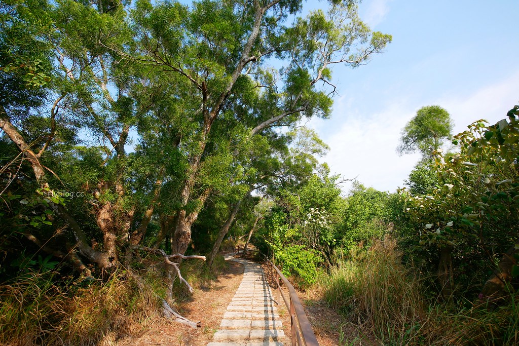 唯愛庭園 Vena Manor：彰化歐式古堡莊園~結合景觀餐廳、婚宴會館、花園迷宮、大草皮，彰化親子旅遊推薦好去處 @飛天璇的口袋