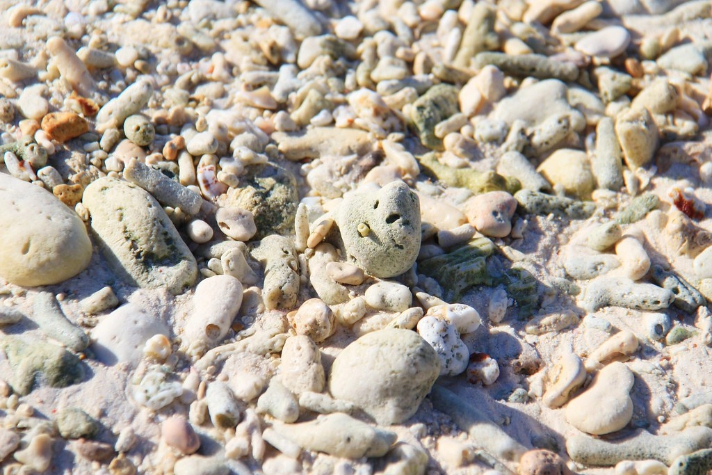 Amun Ini Beach Resort & Spa┃薄荷島住宿：只有16間房的海邊渡假村，享受遠離塵囂以及私房海灘 @飛天璇的口袋