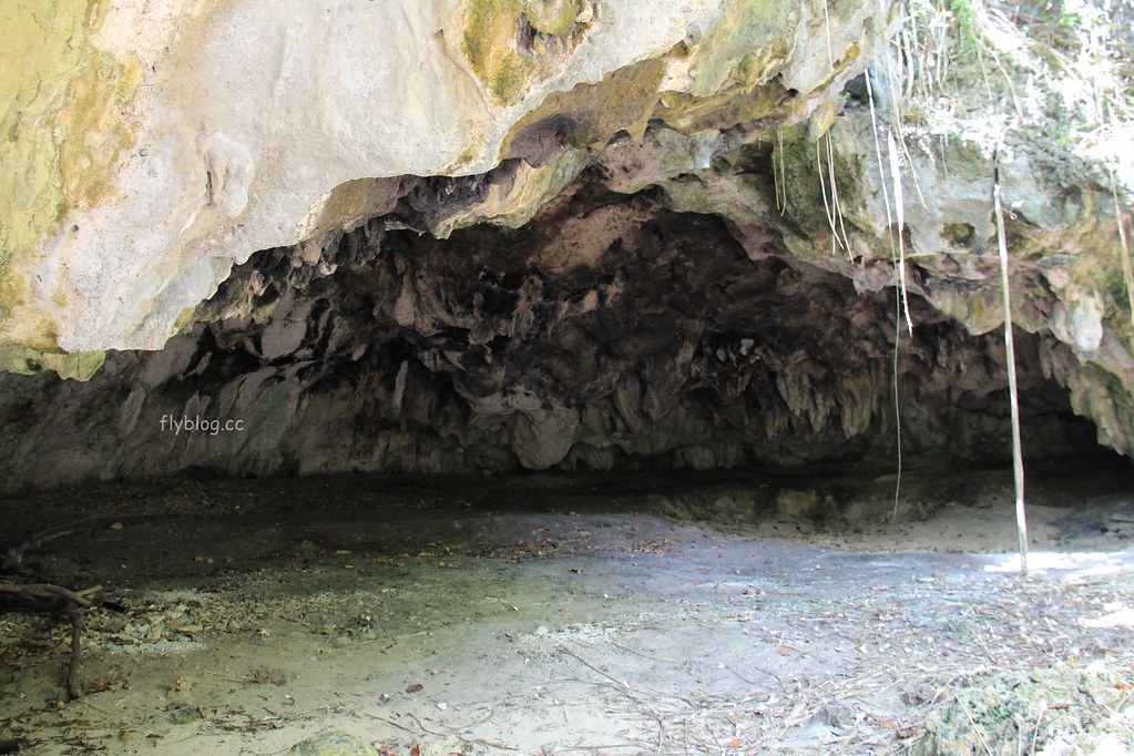 Lamanok Island┃薄荷島景點：薄荷島超隱密生態小島，享受不一樣的生態之旅 @飛天璇的口袋