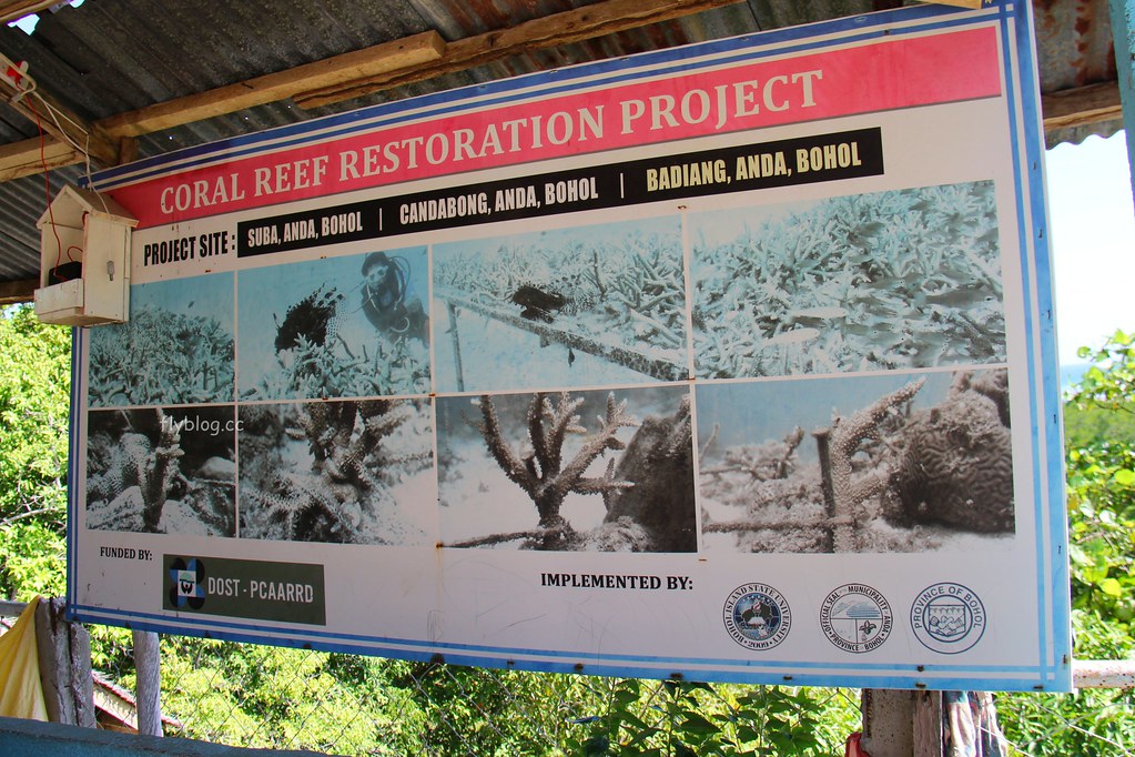 Lamanok Island┃薄荷島景點：薄荷島超隱密生態小島，享受不一樣的生態之旅 @飛天璇的口袋