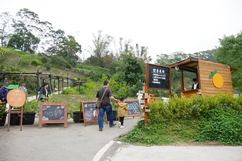 苗栗頭屋｜橙香森林．森林裡面的浪漫玻璃屋，有大片草原和橙香隧道 @飛天璇的口袋