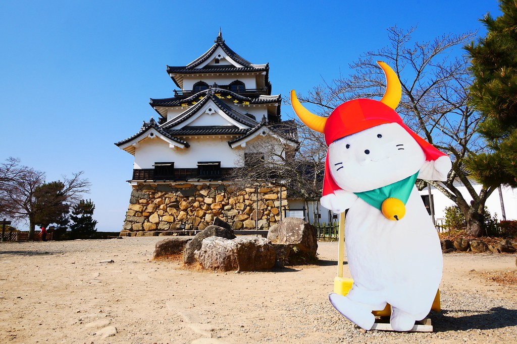 日本滋賀｜彥根城，日本五大國寶城之一，欣賞彥根貓的近距離表演，距離京都一個小時車程 @飛天璇的口袋