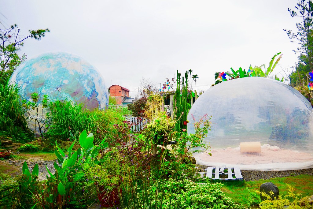 南投埔里｜多肉秘境，可愛又療癒的泡泡屋，還有6米大藍色地球 @飛天璇的口袋