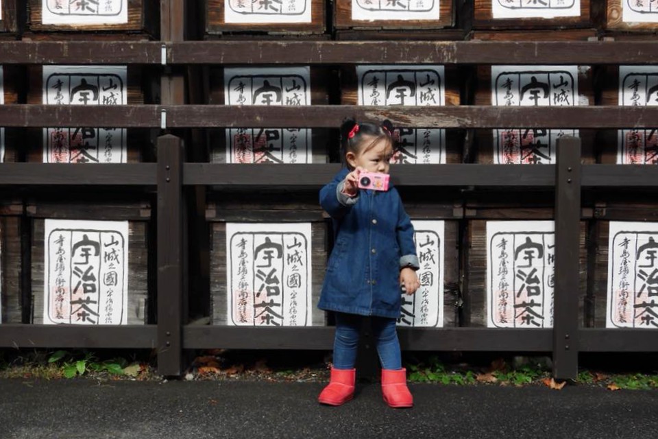 日本關西｜京都大阪觀光一日券．搭乘京阪線宇治、平等院、伏見稻荷、大阪城，大阪京都玩透透 @飛天璇的口袋