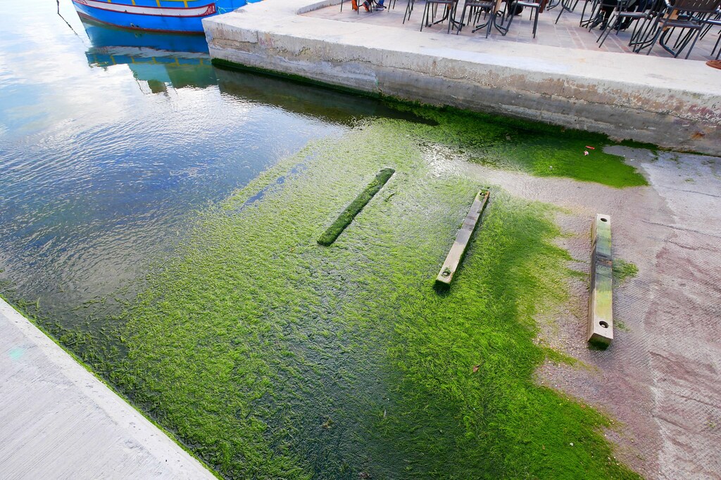 馬爾他 Malta｜馬爾薩什洛克 Marsaxlokk．五彩繽紛的小漁村，如油畫般的唯美浪漫 @飛天璇的口袋