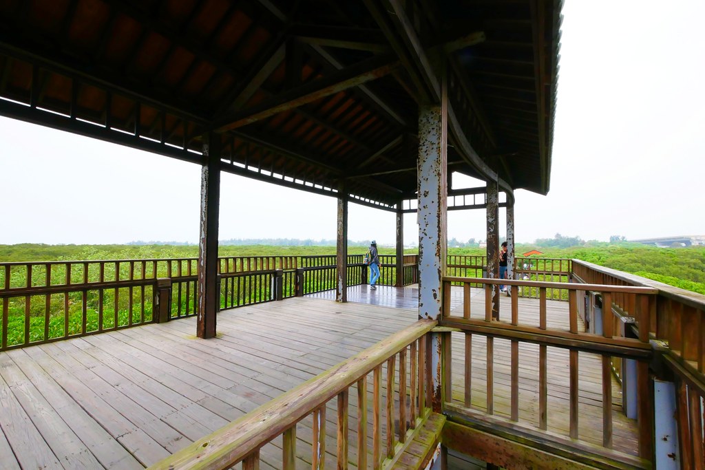 【新竹新豐】新豐紅樹林綠色步道：兼具休閒與觀光的生態保護區，走在被大自然包圍的綠色小隧道 @飛天璇的口袋