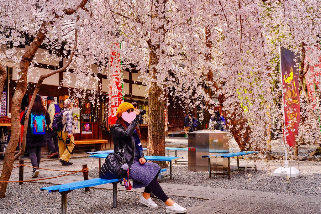 日本京都｜六角堂 X 星巴克｜日本Starbucks特色店，坐在落地窗前欣賞千年佛寺櫻花美景 @飛天璇的口袋