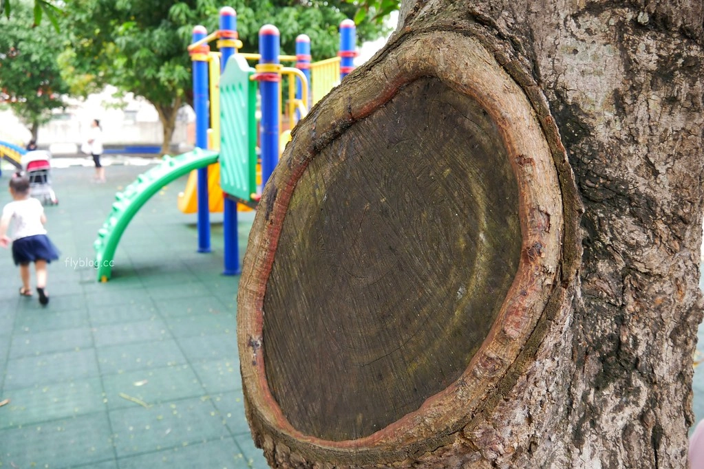 清水國小日式宿舍群｜欣賞和洋折衷建築之美，全台第一座校園古蹟，還有附設遊樂場可以遛小孩 @飛天璇的口袋