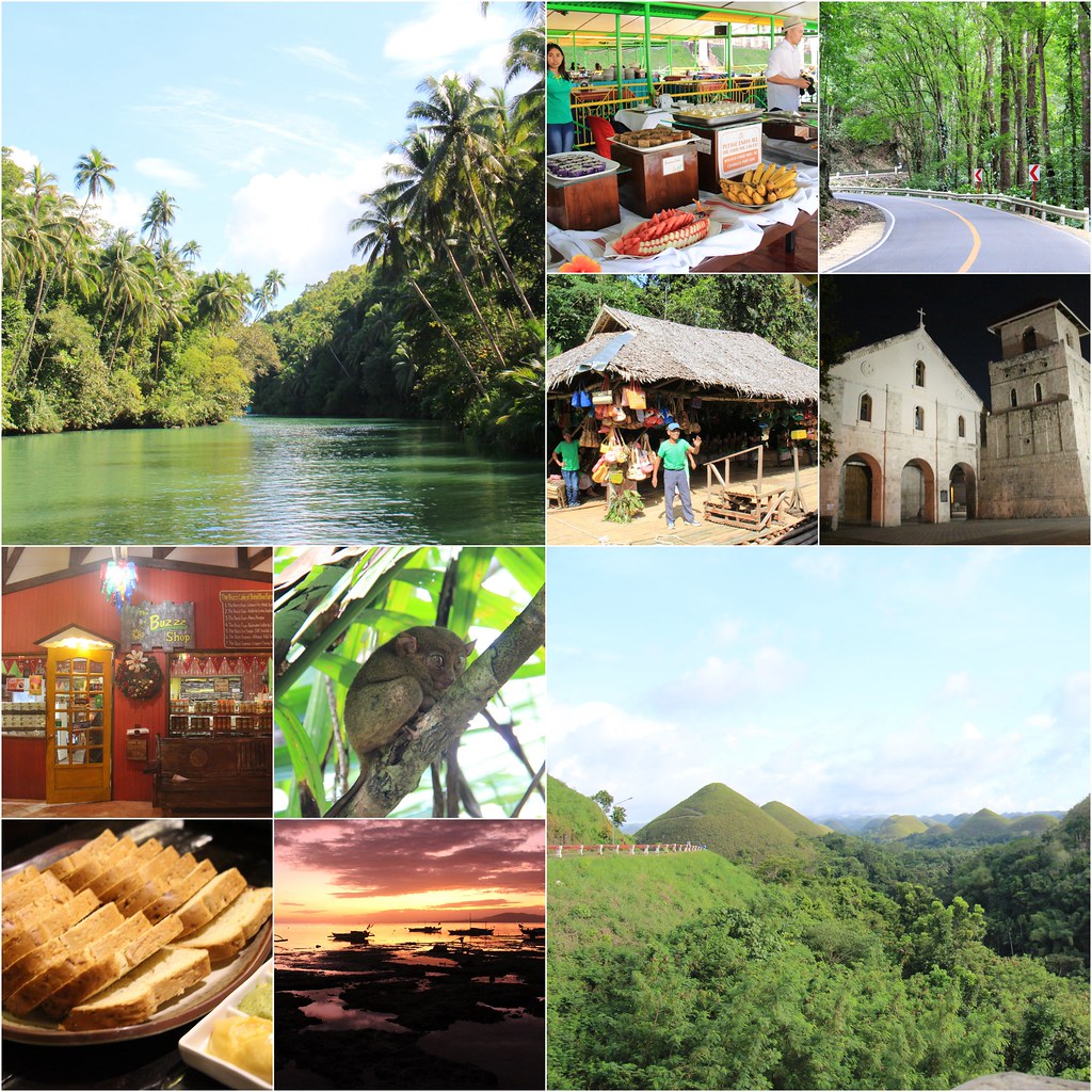 薄荷島一日遊┃菲律賓薄荷島：羅伯克河+人造森林+眼鏡猴保護區+巧克力山+巴卡容教堂+薄荷島蜜峰農場 @飛天璇的口袋
