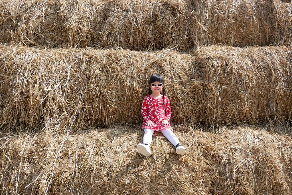 嘉義旅遊｜嘉義3天2夜行程規劃懶人包．親子旅遊行程、必吃美食、必遊景點、住宿推薦 @飛天璇的口袋