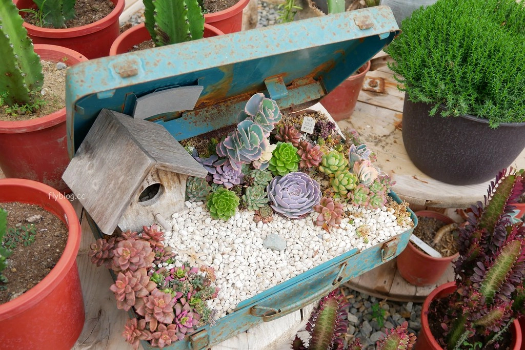 綠果庭院｜田尾多肉植物控的天堂，彰化田尾IG熱門打卡景點 @飛天璇的口袋