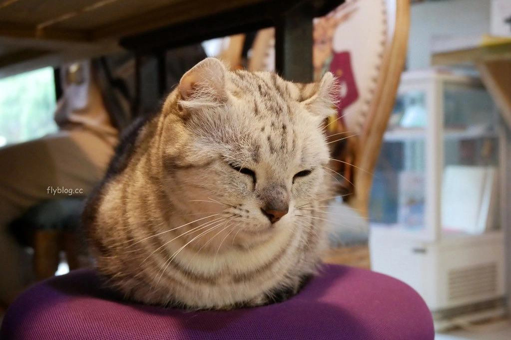 【台中南屯】Mapper Cafe 脈搏咖啡：文青風韓系咖啡館，通往小徑出現夢幻調酒吧 @飛天璇的口袋