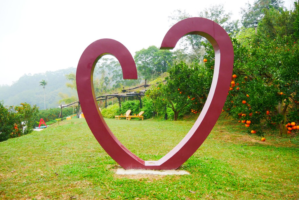 苗栗頭屋｜橙香森林．森林裡面的浪漫玻璃屋，有大片草原和橙香隧道 @飛天璇的口袋