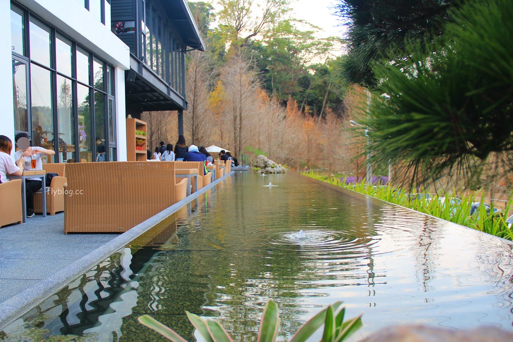 松之戀｜座落於新社夢幻湖旁1.5公頃落羽松森林，享受落羽松下松之戀美味餐點 @飛天璇的口袋