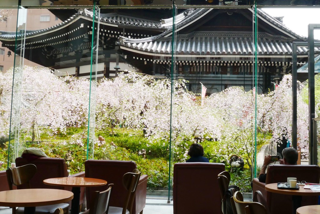 日本京都｜六角堂 X 星巴克｜日本Starbucks特色店，坐在落地窗前欣賞千年佛寺櫻花美景 @飛天璇的口袋