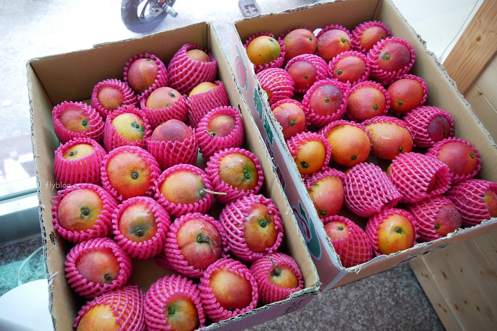 台中大甲｜純粹綿綿冰，使用當季水果、自家手工製冰，好吃健康沒有添加物 @飛天璇的口袋