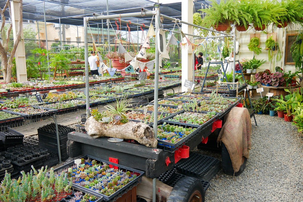 綠果庭院｜田尾多肉植物控的天堂，彰化田尾IG熱門打卡景點 @飛天璇的口袋