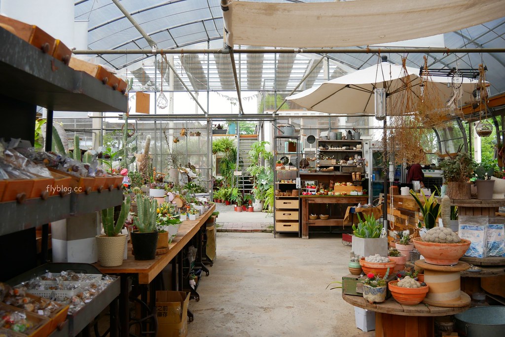 綠果庭院｜田尾多肉植物控的天堂，彰化田尾IG熱門打卡景點 @飛天璇的口袋
