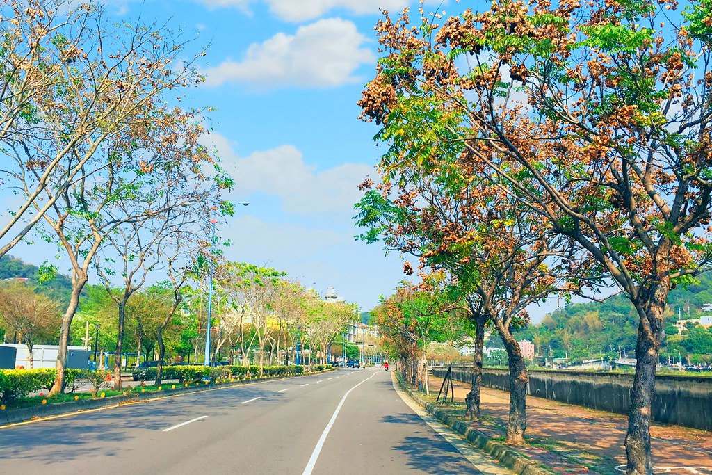 台中北屯大坑四座橋｜浪漫情人橋、大坑清新橋、藍天白雲橋、大坑單車橋，白天晚上都有不同的風采，台中旅遊景點推薦 @飛天璇的口袋