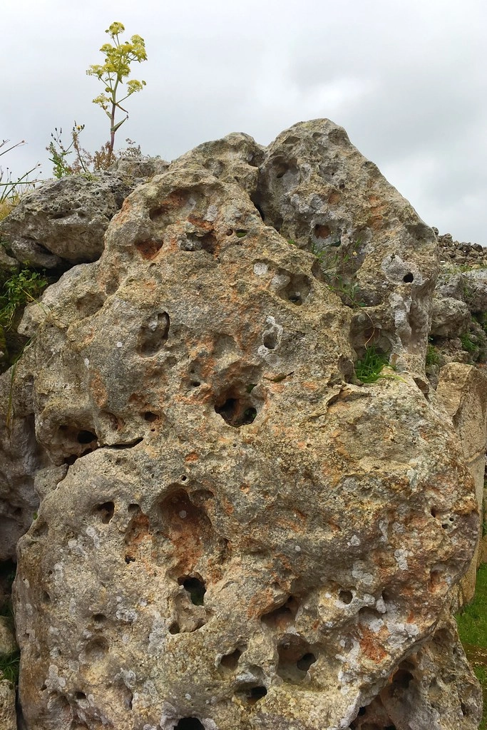 馬爾他 Malta｜季甘蒂亞神廟 Ggantija Temples．世界上最古老的直立式建築，擁有5600年歷史的神殿 @飛天璇的口袋