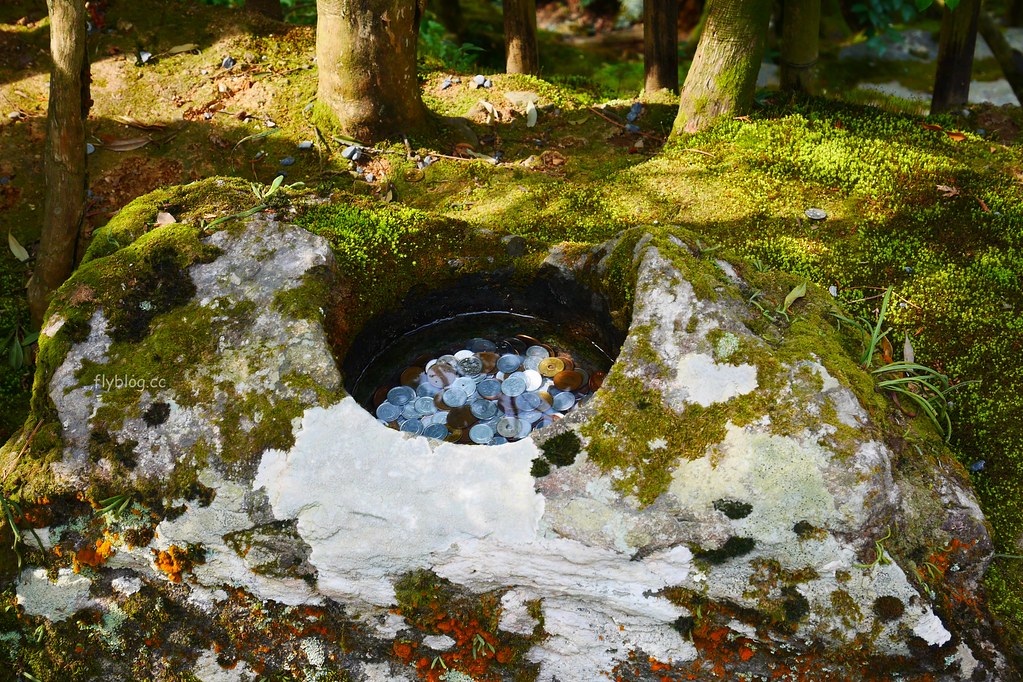日本京都｜金閣寺｜金碧輝煌的鹿苑寺，京都必遊景點推薦，含金閣寺的交通方式&門票說明 @飛天璇的口袋