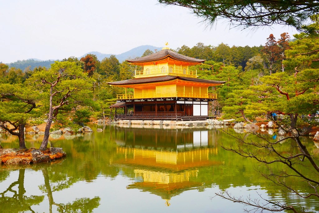 日本京都｜金閣寺｜金碧輝煌的鹿苑寺，京都必遊景點推薦，含金閣寺的交通方式&門票說明 @飛天璇的口袋