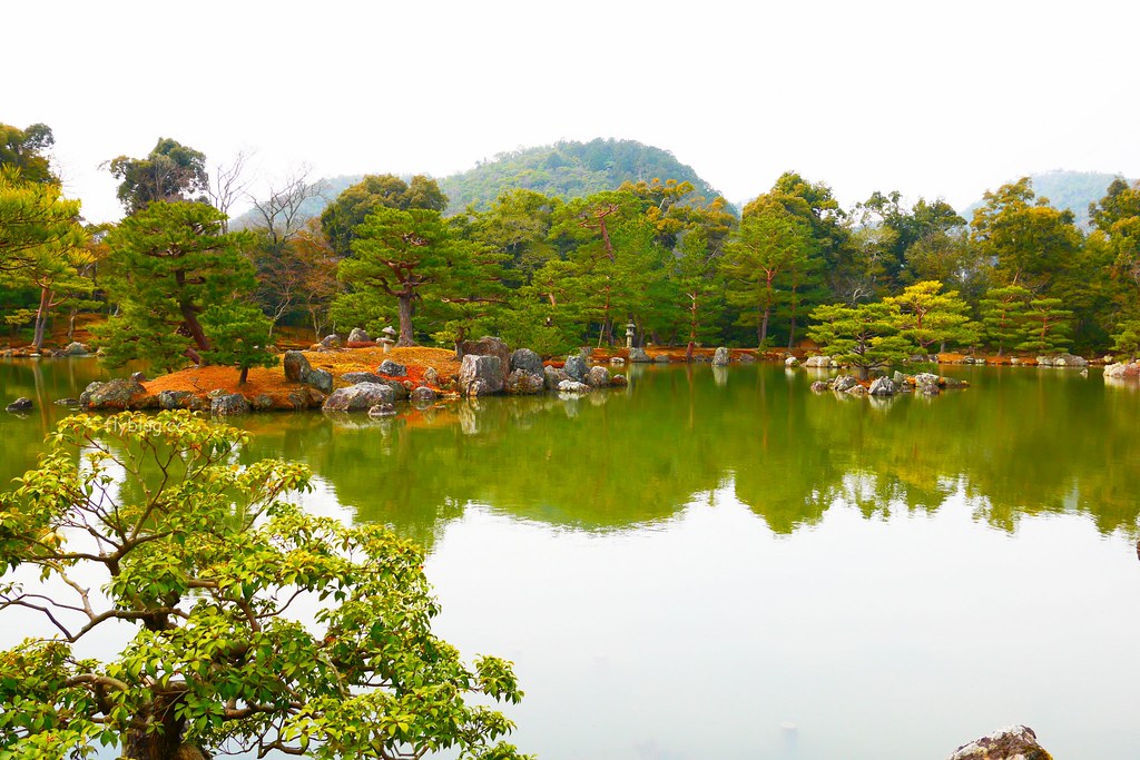 日本京都｜金閣寺｜金碧輝煌的鹿苑寺，京都必遊景點推薦，含金閣寺的交通方式&門票說明 @飛天璇的口袋