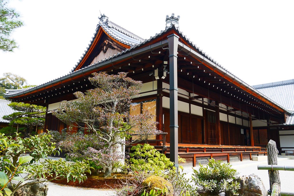 日本京都｜金閣寺｜金碧輝煌的鹿苑寺，京都必遊景點推薦，含金閣寺的交通方式&門票說明 @飛天璇的口袋