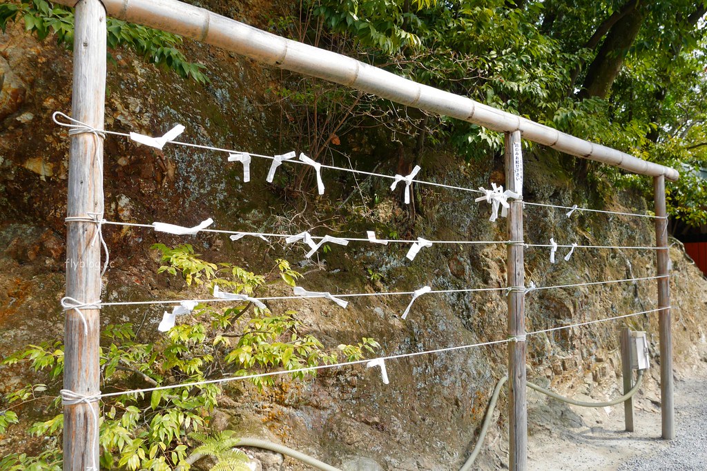 日本京都｜金閣寺｜金碧輝煌的鹿苑寺，京都必遊景點推薦，含金閣寺的交通方式&門票說明 @飛天璇的口袋