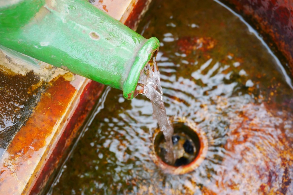 黃金一路金城武樹┃苗栗旅遊：苗栗西湖也有傳說中的伯朗大道，沿著環鄉小徑遇見金城武樹 @飛天璇的口袋