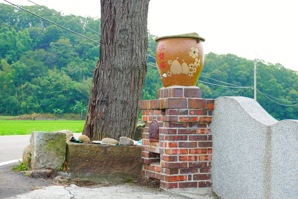 黃金一路金城武樹┃苗栗旅遊：苗栗西湖也有傳說中的伯朗大道，沿著環鄉小徑遇見金城武樹 @飛天璇的口袋