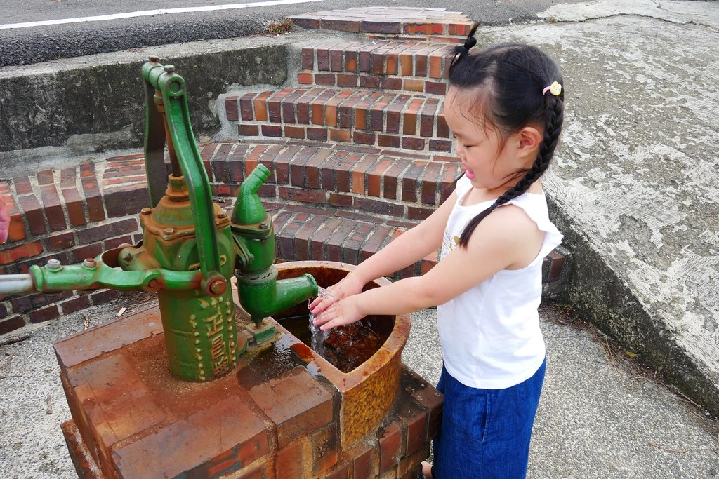 黃金一路金城武樹┃苗栗旅遊：苗栗西湖也有傳說中的伯朗大道，沿著環鄉小徑遇見金城武樹 @飛天璇的口袋
