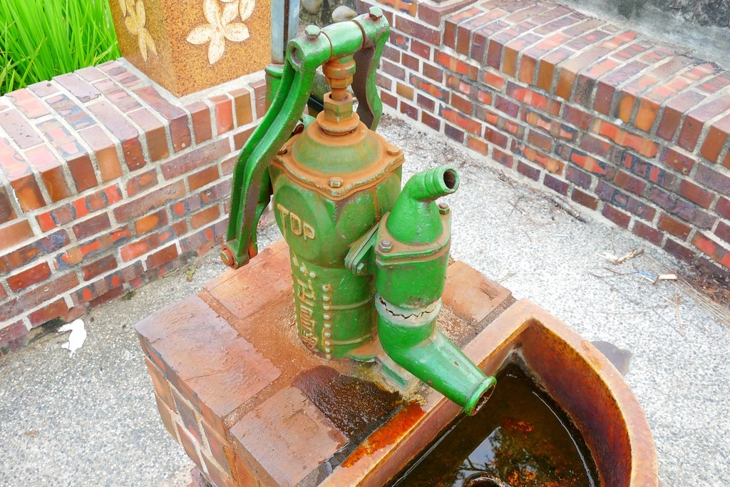 黃金一路金城武樹┃苗栗旅遊：苗栗西湖也有傳說中的伯朗大道，沿著環鄉小徑遇見金城武樹 @飛天璇的口袋