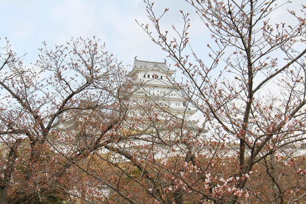 日本兵庫｜姬路城，日本第一大名城，雪白外觀又稱白鷺城(含交通方式、美食推薦、拍照地點) @飛天璇的口袋