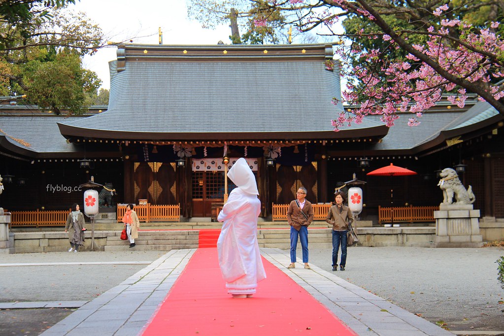 日本兵庫｜姬路城，日本第一大名城，雪白外觀又稱白鷺城(含交通方式、美食推薦、拍照地點) @飛天璇的口袋