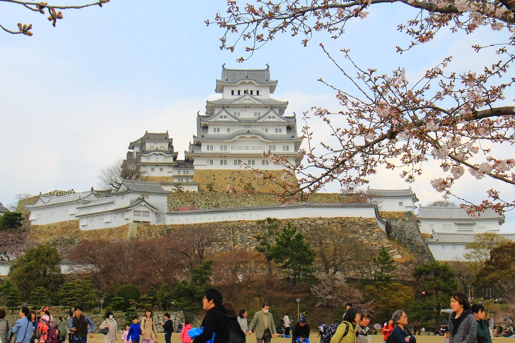 日本兵庫｜姬路城，日本第一大名城，雪白外觀又稱白鷺城(含交通方式、美食推薦、拍照地點) @飛天璇的口袋