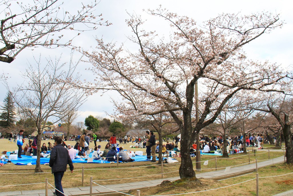 日本兵庫｜姬路城，日本第一大名城，雪白外觀又稱白鷺城(含交通方式、美食推薦、拍照地點) @飛天璇的口袋
