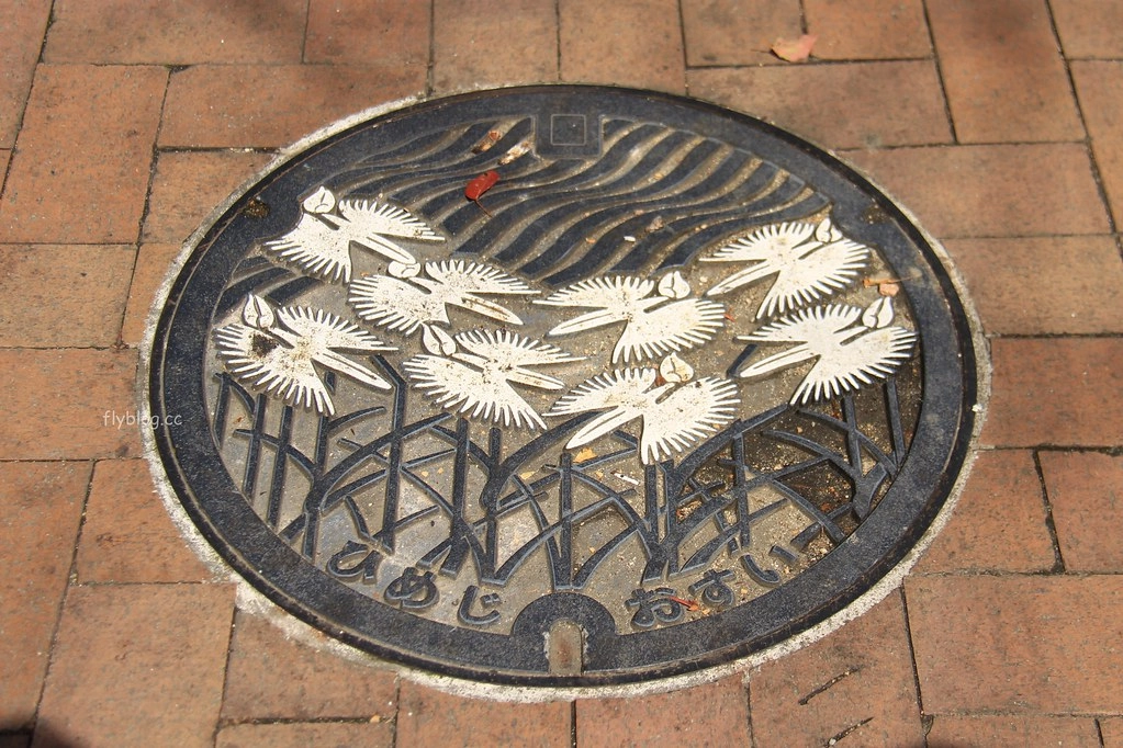 日本兵庫｜姬路城，日本第一大名城，雪白外觀又稱白鷺城(含交通方式、美食推薦、拍照地點) @飛天璇的口袋