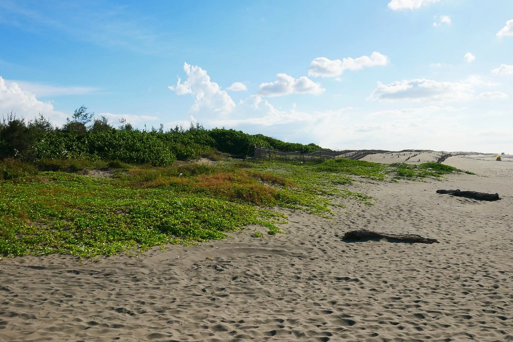 桃園旅遊｜桃園一日遊．桃園IG景點免費拍，【復興航棧】近距離看飛機吃美食 @飛天璇的口袋
