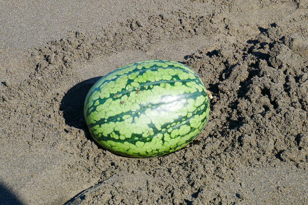 桃園旅遊｜桃園一日遊．桃園IG景點免費拍，【復興航棧】近距離看飛機吃美食 @飛天璇的口袋