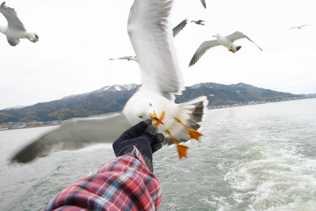 日本京都｜天橋立一日遊．日本三景之一，天橋立交通方式、旅遊景點、餐廳美食、住宿推薦 @飛天璇的口袋