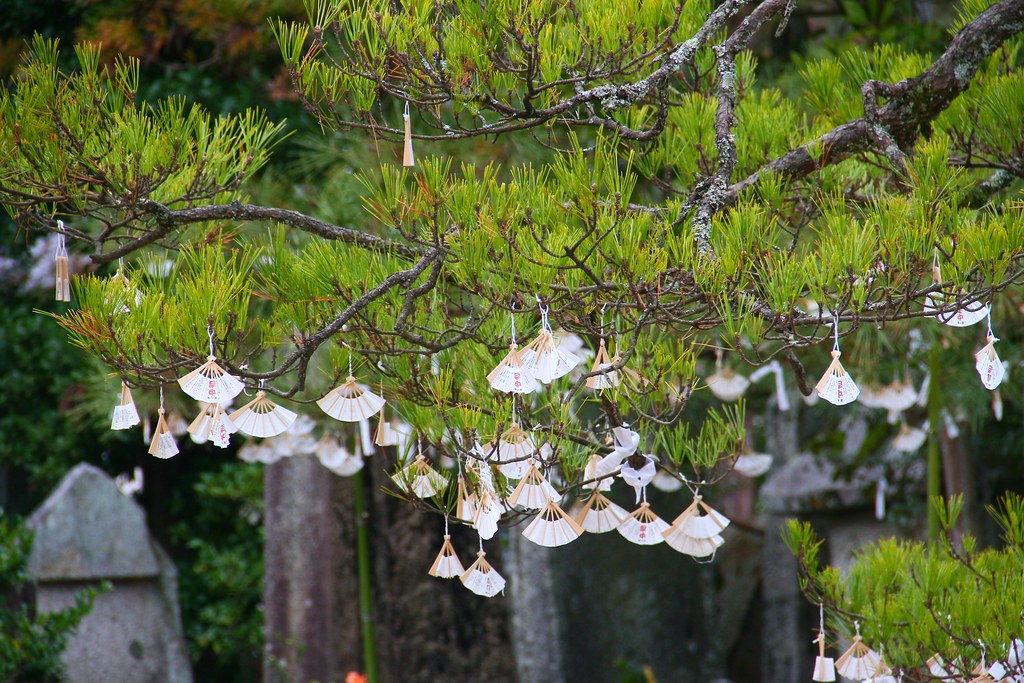 日本京都｜天橋立一日遊．日本三景之一，天橋立交通方式、旅遊景點、餐廳美食、住宿推薦 @飛天璇的口袋
