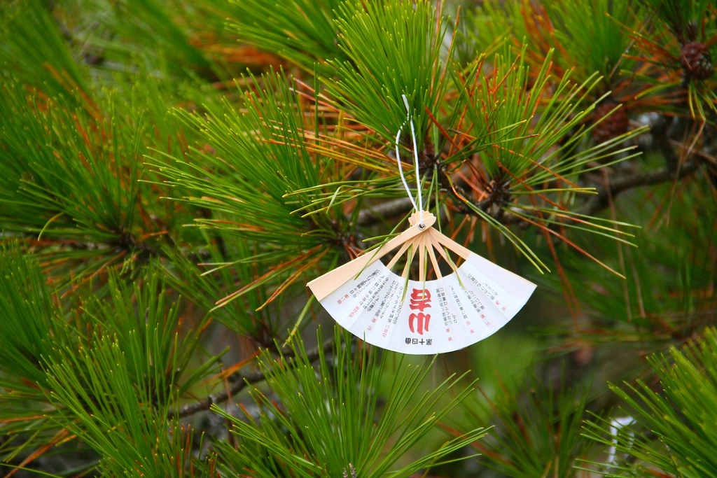 日本京都｜天橋立一日遊．日本三景之一，天橋立交通方式、旅遊景點、餐廳美食、住宿推薦 @飛天璇的口袋