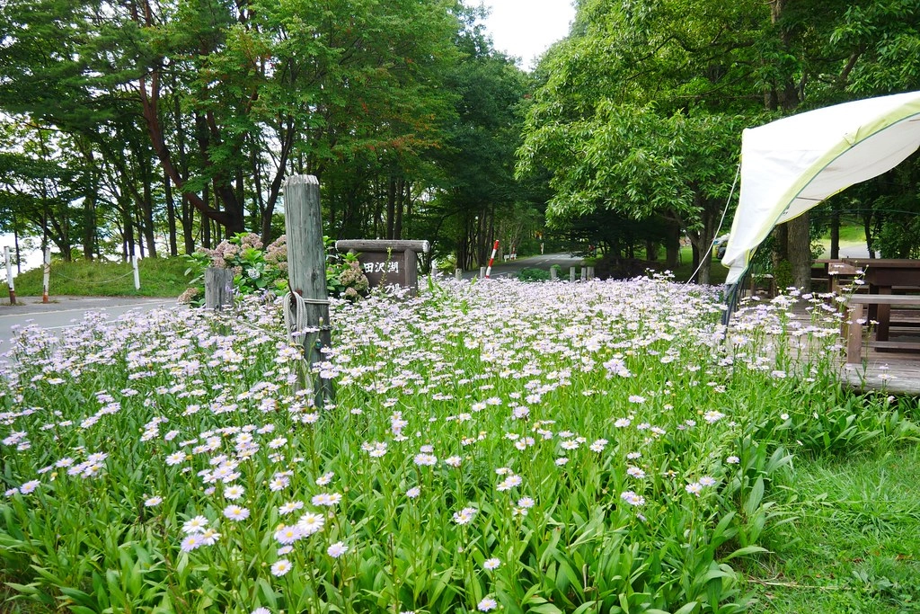 日本秋田｜田澤湖．日本最深的湖泊，最夯的SUP立槳體驗 @飛天璇的口袋