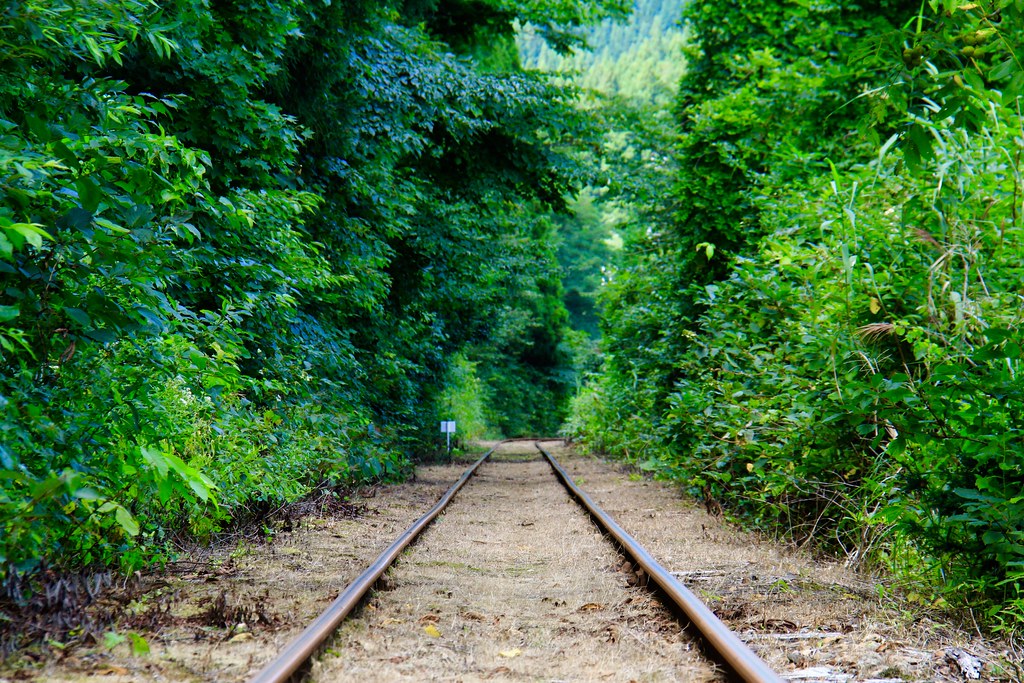 日本秋田｜大館小坂鉄道レールバイク．廢棄鐵道騎Rail Bike，穿越溪流縱谷美景，投入芬多精的懷抱 @飛天璇的口袋
