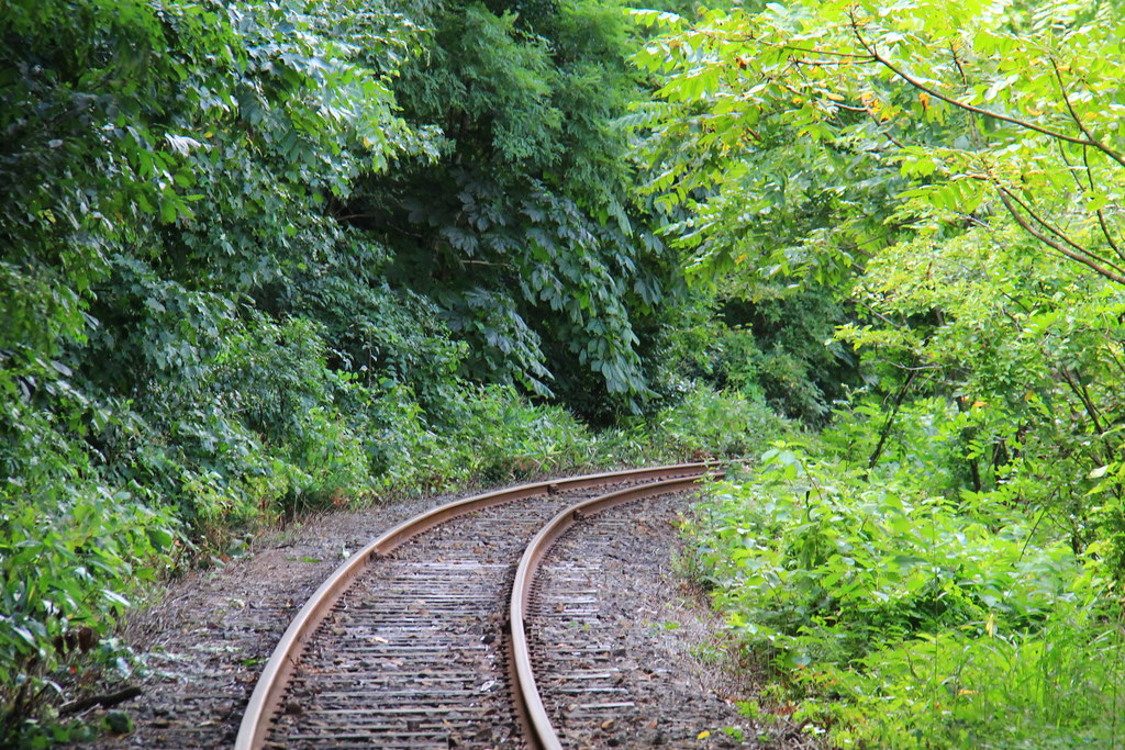 日本秋田｜大館小坂鉄道レールバイク．廢棄鐵道騎Rail Bike，穿越溪流縱谷美景，投入芬多精的懷抱 @飛天璇的口袋