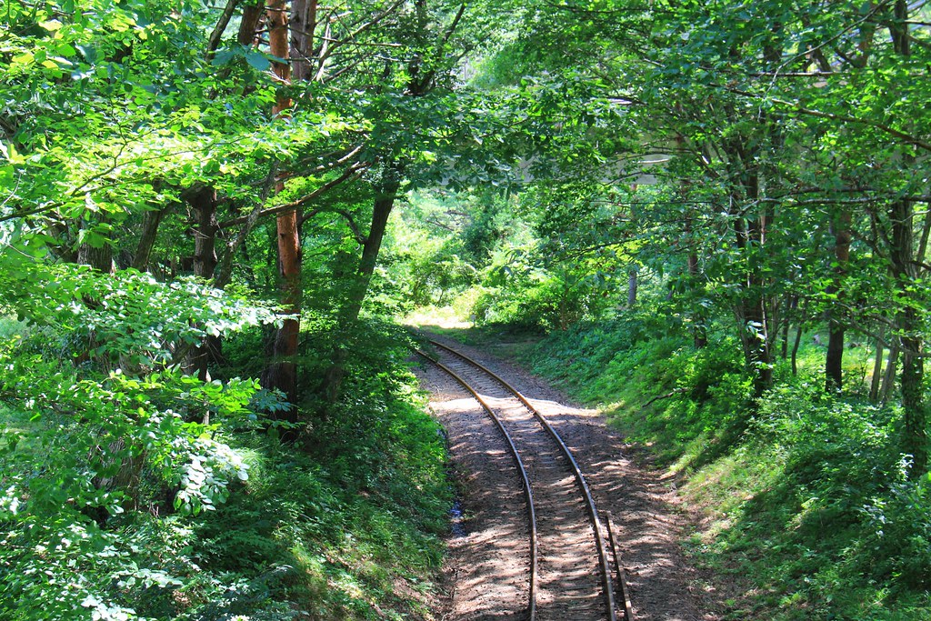 日本秋田｜大館小坂鉄道レールバイク．廢棄鐵道騎Rail Bike，穿越溪流縱谷美景，投入芬多精的懷抱 @飛天璇的口袋