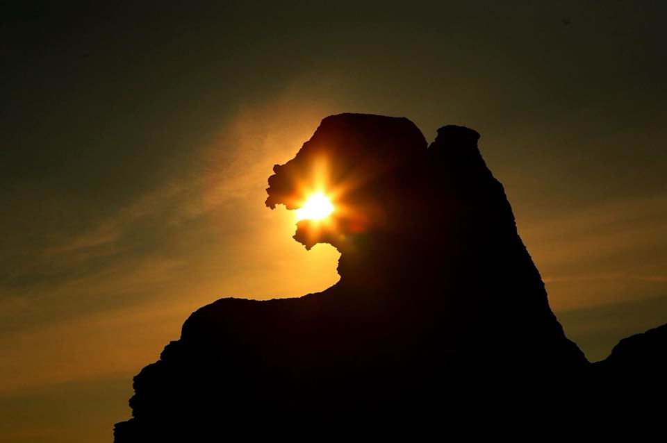 日本秋田｜男鹿半島一日遊．騎自行車挑戰24K – 哥吉拉岩 – 男鹿海鮮市場 – 男鹿半島Sea Bird觀光船 – 男鹿水族館GAO – なまはげオートキャンプ場 @飛天璇的口袋